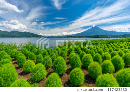富士山和地膚河口湖 117423280