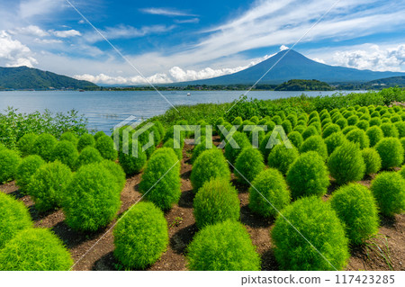富士山和地膚河口湖 117423285