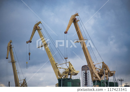 Industrial port cranes against a cloudy sky in a bustling harbor setting filled 117423341