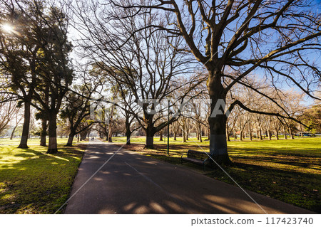 Carlton Gardens in Melbourne Australia Carlton Gardens in Melbourne Australia 117423740