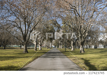 Carlton Gardens in Melbourne Australia Carlton Gardens in Melbourne Australia 117423745
