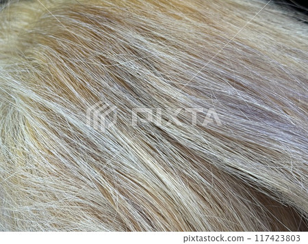 漂白頭髮失敗 117423803