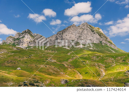 Landscape with Sedlo High Mountain Pass 117424014