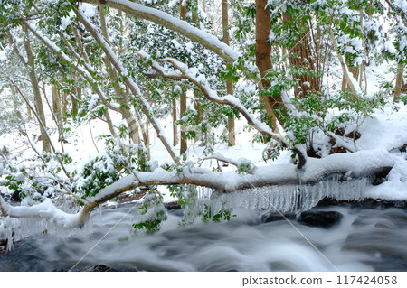 冬天的琉璃溪有雪和冰柱 117424058