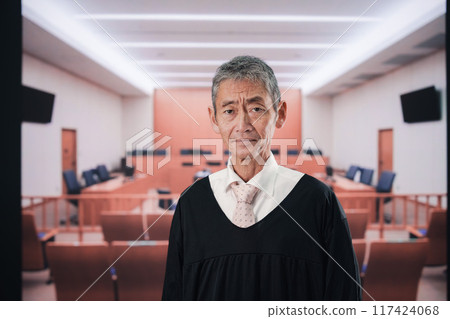 法庭上的年長法官 117424068