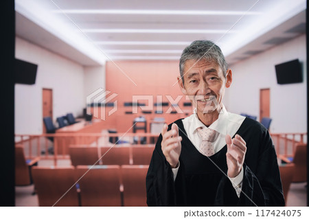 法庭上的年長法官 117424075