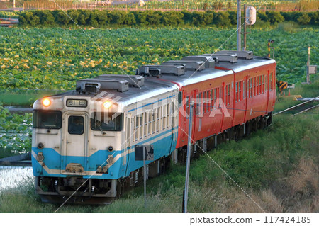 [T] Takatoku Line Kiha 40 + Kiha 47 JNR color (Tokushima to Hikida) 117424185