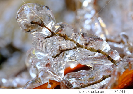 琉璃溪樹枝上附著的冰柱 117424363