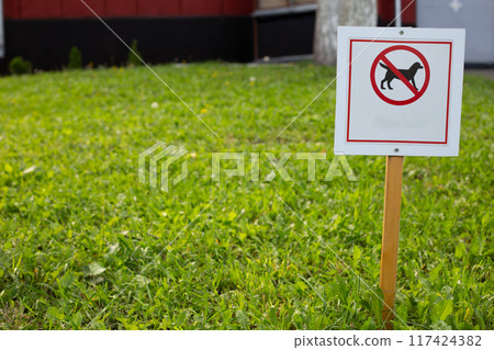 Sign prohibiting walking dogs in this area on street. Sign with dogs crossed out stands on lawn with green grass on city street 117424382