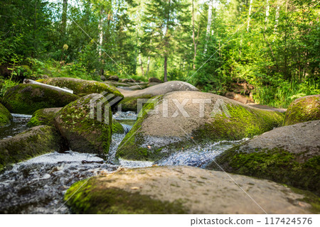 stream in the forest 117424576