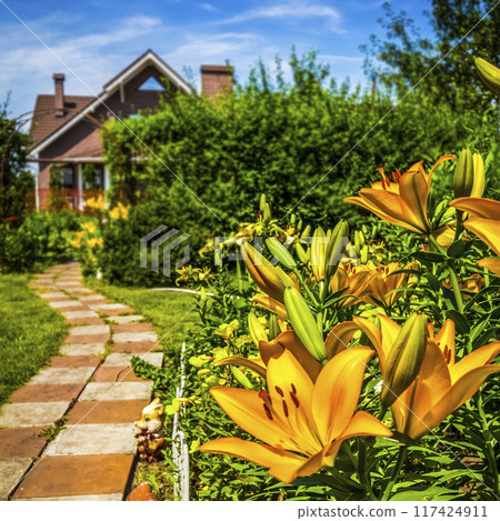 Flower garden flowerbed Flower garden flowerbed 117424911
