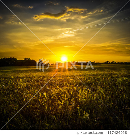 Beautiful summer landscape 117424938