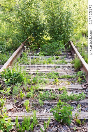 An abandoned railway at a deadlock An abandoned railway at a deadlock 117425172