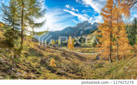 Stunning view of mountains and valleys with larch forest and wonderful sky are located in Filzmoos Stunning view of mountains and valleys with larch forest and wonderful sky are located in Filzmoos 117425278