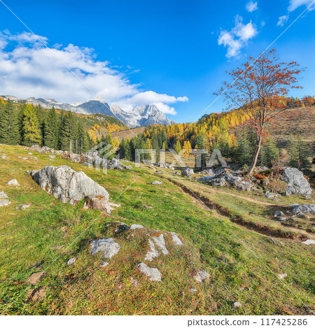 Amazing view of mountains and valleys with larch forest and wonderful sky are located in Filzmoos Amazing view of mountains and valleys with larch forest and wonderful sky are located in Filzmoos 117425286