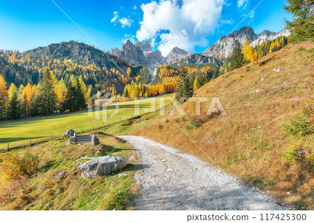 Fabulous view of mountains and valleys with larch forest and wonderful sky are located in Filzmoos Fabulous view of mountains and valleys with larch forest and wonderful sky are located in Filzmoos 117425300