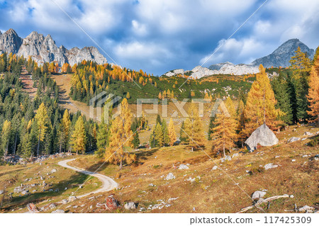 Fabulous view of mountains and valleys with larch forest and wonderful sky are located in Filzmoos Fabulous view of mountains and valleys with larch forest and wonderful sky are located in Filzmoos 117425309