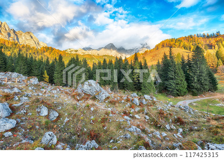 Fabulous view of mountains and valleys with larch forest and wonderful sky are located in Filzmoos Fabulous view of mountains and valleys with larch forest and wonderful sky are located in Filzmoos 117425315