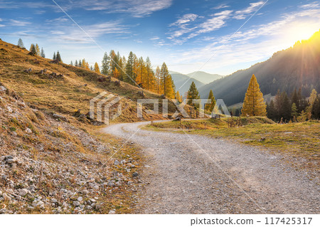 Fabulous view of mountains and valleys with larch forest and wonderful sky are located in Filzmoos Fabulous view of mountains and valleys with larch forest and wonderful sky are located in Filzmoos 117425317