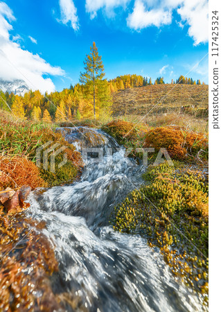 Fabulous view of mountains and valleys with larch forest and wonderful sky are located in Filzmoos 117425324