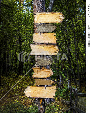 Wooden signposts in the forest 117425330