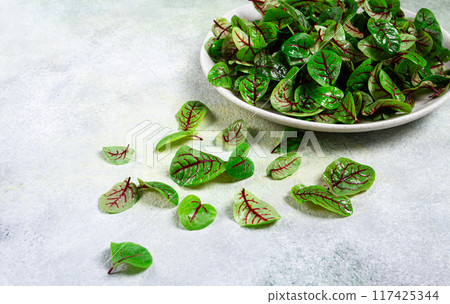 sorrel bloody Mary, fresh baby sorrel leaves, with red veins, micro-greens, on a plate, 117425344