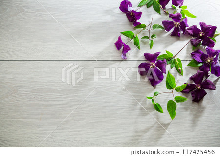 branch of blooming purple clematis, on a light wooden table branch of blooming purple clematis, on a light wooden table 117425456