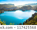 view of Bled lake 117425568
