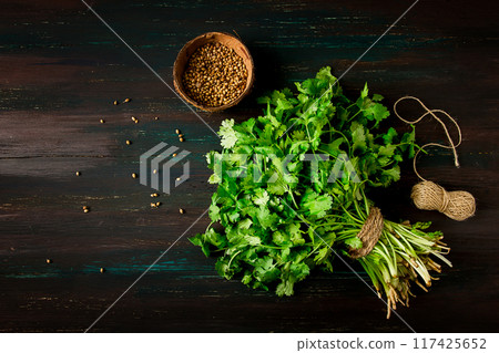 bunch of fresh Cilantro, coriander seeds, on a dark wooden table, close-up, top view, no people. 117425652