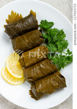 dolma, minced meat with rice, in grape leaves, rolls with minced meat, on a white plate, top view, no people, dolma, grape leaves with filling, dolma, minced meat with rice, in grape leaves, rolls with minced meat, on a white plate, top view, no people, dolma, grape leaves with filling, 117425715