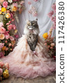 Front portrait of young cat princess 117426380