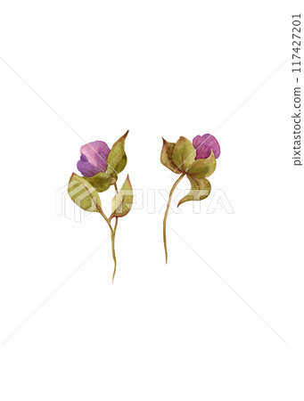 Spring flowers fuchsia. Pair of buds. Watercolor garden and wild flowers. Floral set for your design Spring flowers fuchsia. Pair of buds. Watercolor garden and wild flowers. Floral set for your design 117427201