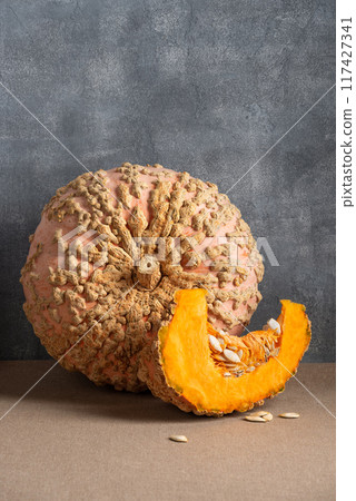 Galeux d Eysines Pumpkin on Table Galeux d Eysines Pumpkin on Table 117427341