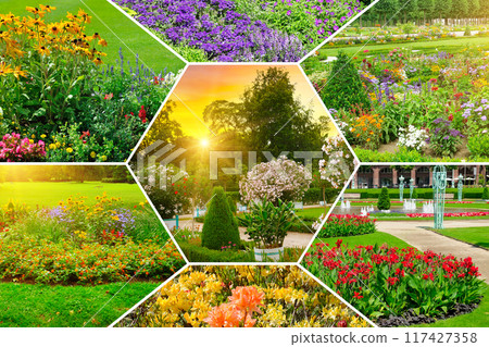 Colorful collage of flowers and garden. 117427358