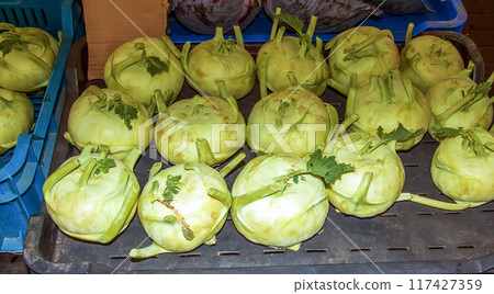 Freshly picked kohlrabi for sale at an outdoor farmers market. Turnip cabbage or Brassica oleracea Freshly picked kohlrabi for sale at an outdoor farmers market. Turnip cabbage or Brassica oleracea 117427359