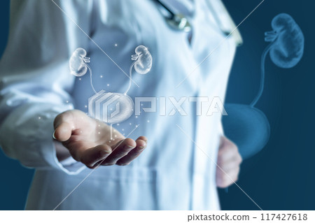 Doctor shows a sketch of the bladder and kidneys . 117427618