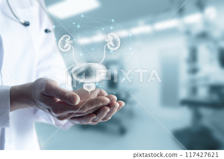 Concept support health of the genitourinary system. 117427621