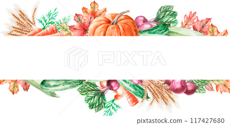 Frame with pumpkin, wheat, sunflower, squash, beetroot, carrot in watercolor illustration. Composition on the theme of harvest for exhibitions and fairs. Illustration isolated from the background. Frame with pumpkin, wheat, sunflower, squash, beetroot, carrot in watercolor illustration. Composition on the theme of harvest for exhibitions and fairs. Illustration isolated from the background. 117427680