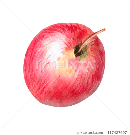 Red apple side view watercolor isolated. Illustration for design of farm products, and organic food in realistic style. Ripe fruit on the theme of autumn harvest 117427697