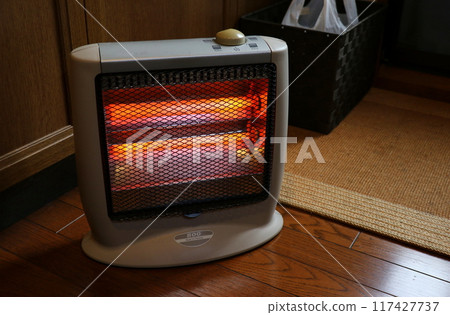 使用中的電爐（2種加熱器類型，木地板） 117427737