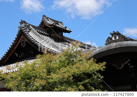 Myomanji Temple, head temple of the Kenpon Hokke Sect, Kyoto City, Sakyo Ward, Iwakura Hataeda-cho Myomanji Temple, head temple of the Kenpon Hokke Sect, Kyoto City, Sakyo Ward, Iwakura Hataeda-cho 117427800