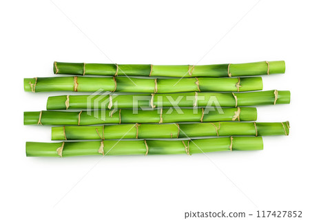 Green bamboo isolated on white background. Top view. Flat lay 117427852