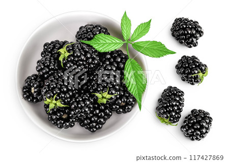 blackberry with leaf in ceramic bowl isolated on a white background. Top view. Flat lay 117427869