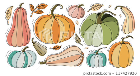 Hand drawn pumpkin set with leaves. Autumn harvest 117427920