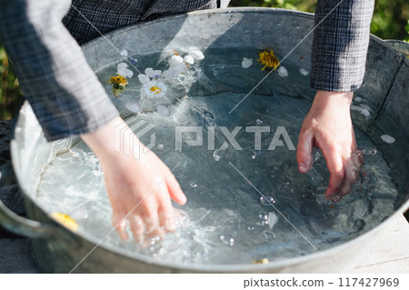 hands of a boy washing them in a basin with water from flower petals. Tender photo with hands, water and daisies 117427969