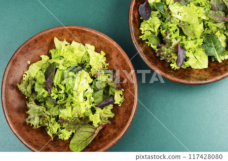 Fresh green salad. Fresh green salad. 117428080
