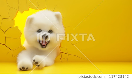 Bichon friese breaking through a hole in the wall. Creative dog banner 117428142