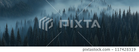 Misty forest. Foggy mountains. Misty spruce landscape banner 117428319