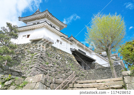 [Wakayama Castle] Wakayama City, Wakayama Prefecture 117428652