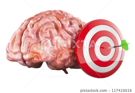 Human brain with target and darts arrow in bullseye, 3D rendering 117428816